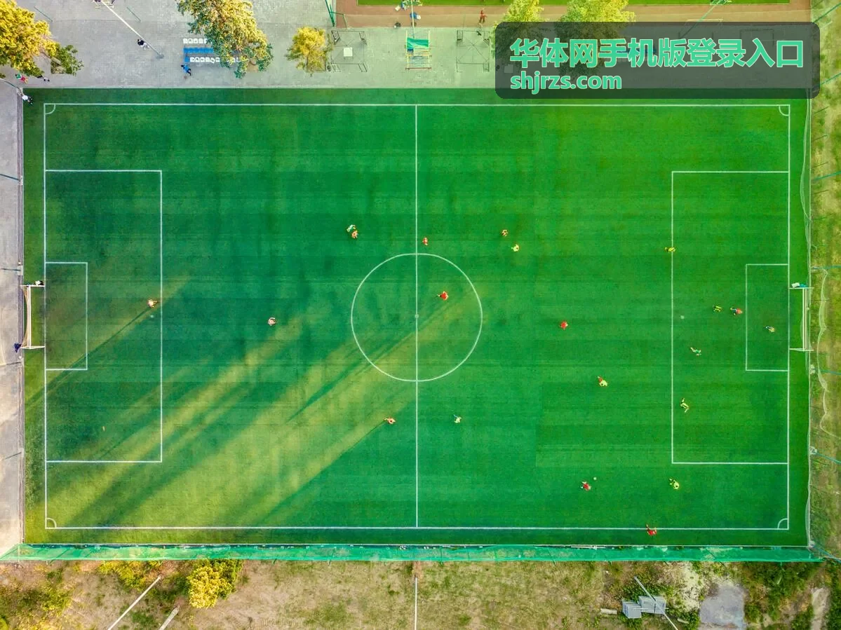 华体网手机版登录入口手机端访问界面示意