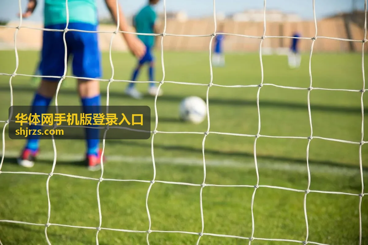 华体网手机版登录入口在不同手机上的适配建议